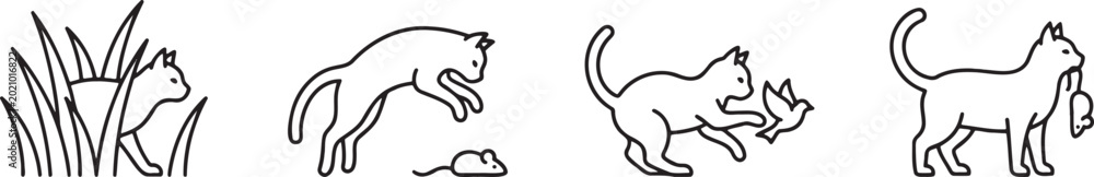 Obraz premium Domestic cat hunting sequence showing stalking pouncing and catching prey