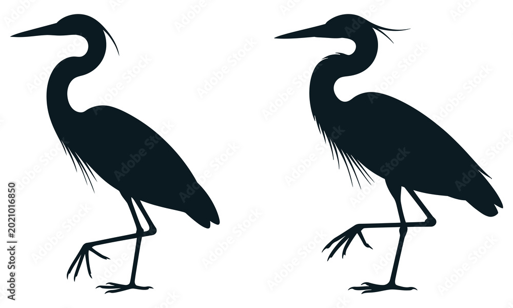 Naklejka premium heron silhouette vector