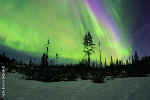 Obraz na płótnie Aurora boreal