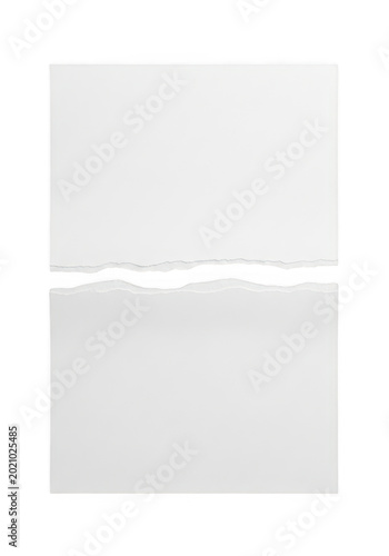 A single sheet of white paper torn into two pieces with a jagged edge isolated on transparent background