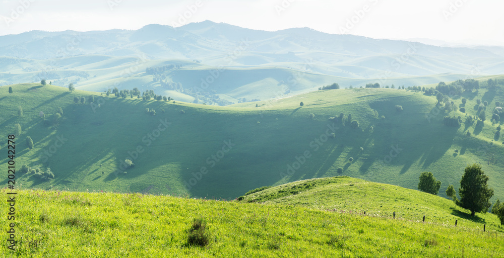 Obraz premium View of green hills and meadows, spring greenery