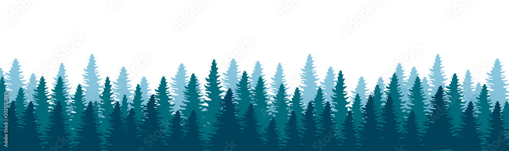 Obraz premium Pine forest silhouette banner in blue tones, misty coniferous tree line isolated on white background, nature landscape vector