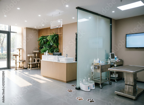 modern veterinarian's office. veterinary clinic