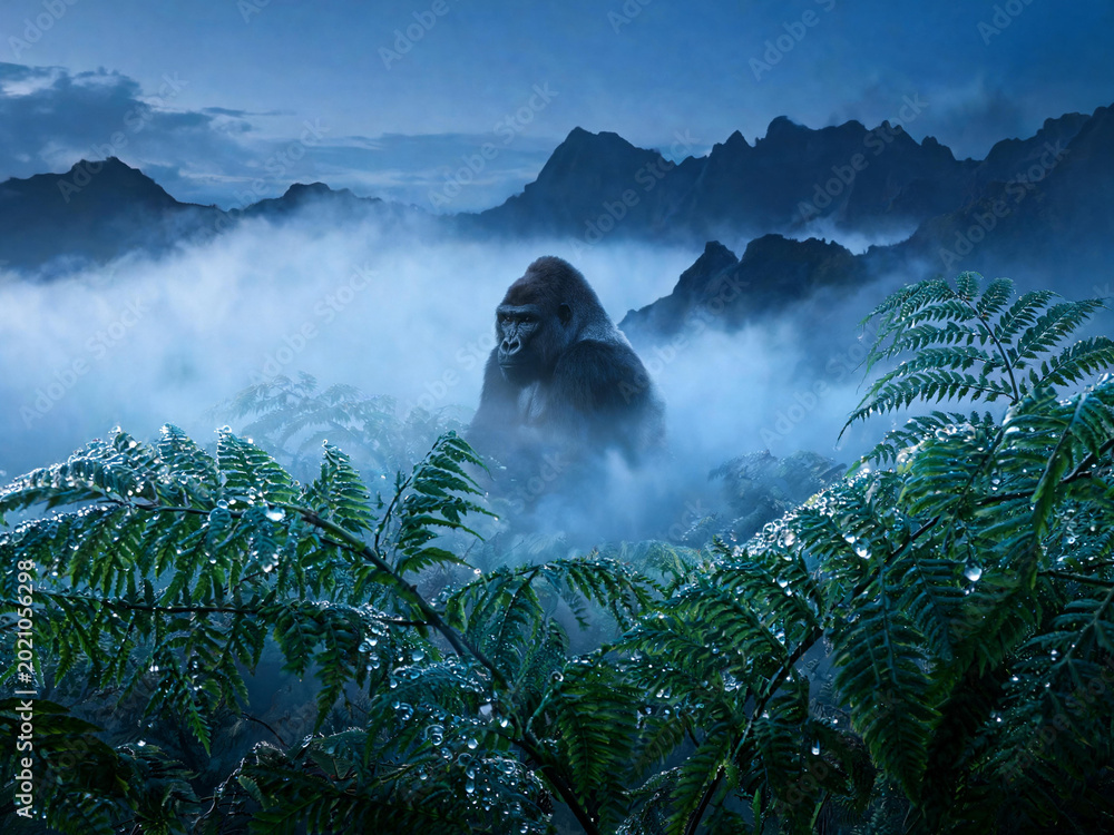 Fototapeta premium Bwindi Forest Landscapes and Mountain Gorillas