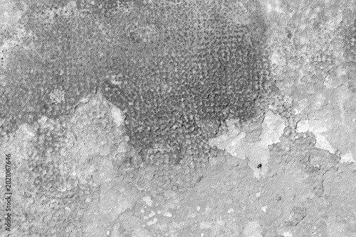 Close-up of an aged concrete wall showing peeling paint, rust stains and text...