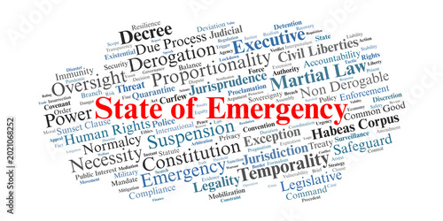 Tableau sur toile State of Emergency Word Cloud