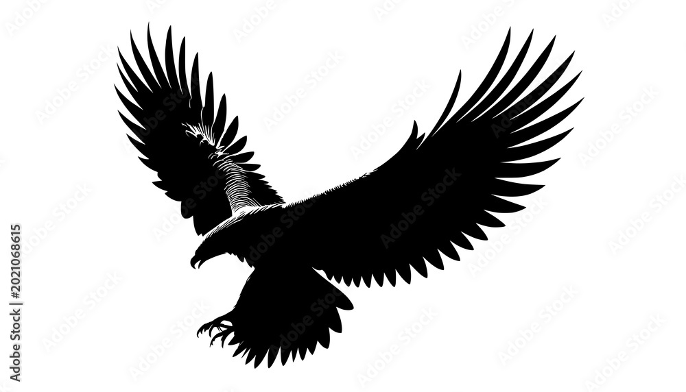 Fototapeta premium eagle silhouette isolated on white
