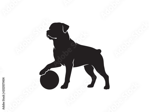 A detailed black silhouette photo showing a loyal rottweiler dog standing proudly with its paw resting on a ball on white background