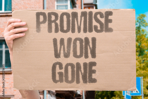 Schilderij op canvas "Promise Won Gone" Electoral promises disappear after election victories are secured