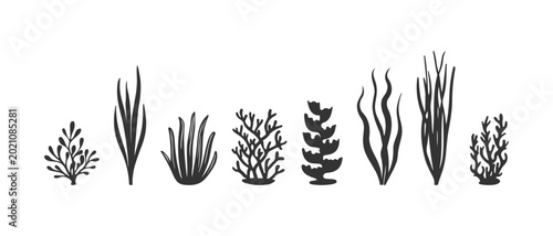 Bild auf Leinwand Diverse underwater flora collection with black silhouettes of kelp eelgrass and coral reef bushes on white background for marine branding bathroom tile and textile design