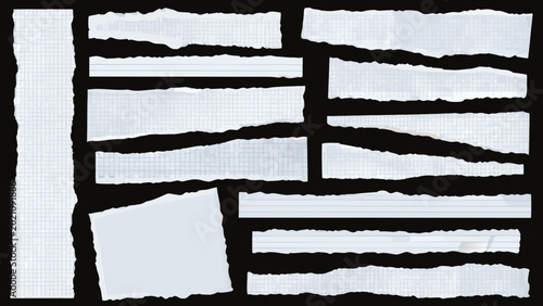 Bilde på lerret collection of torn paper pieces with grid pattern on a black background isolated