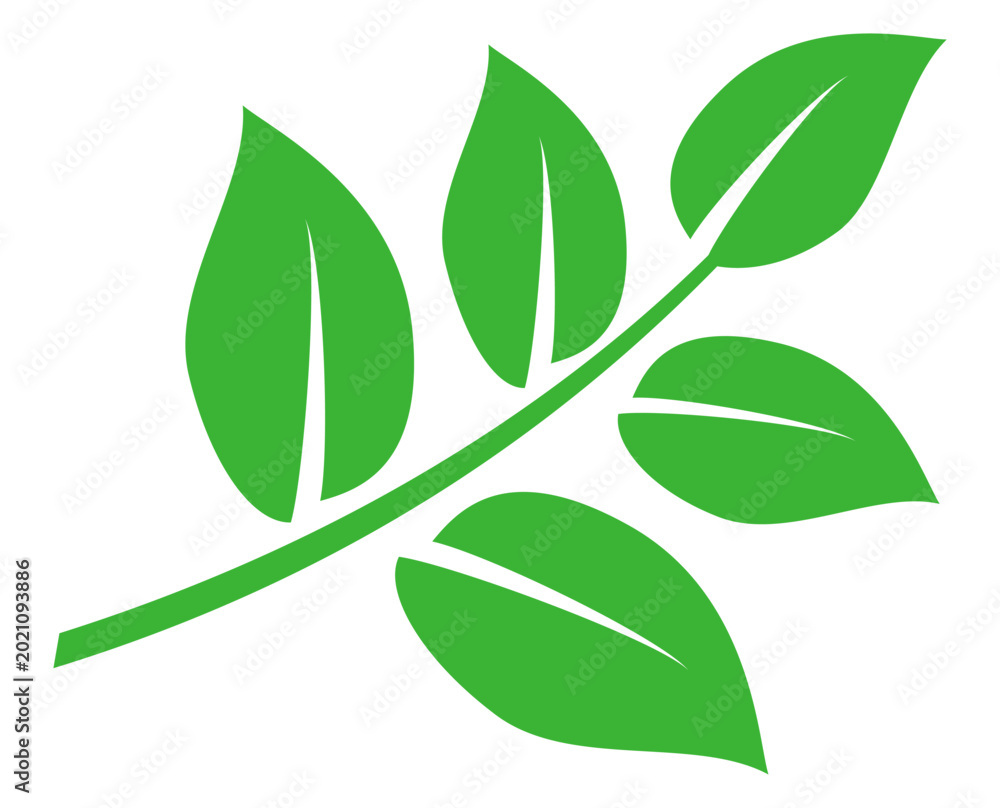 Fototapeta premium Leaf vector symbol, leaf illustration or leaf emoji in flat style. Spring leaf design, ecological nature theme. 