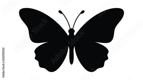 Foto Butterfly silhouette on a white background