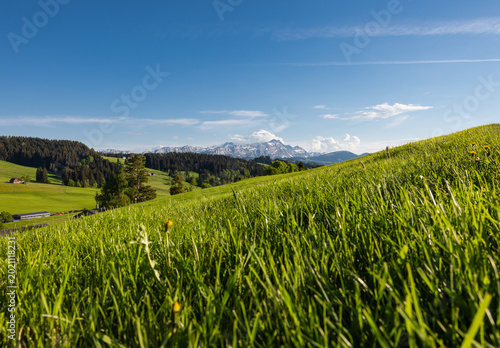 Schilderij op canvas Landschaft im Appenzellerland mit grünen Hügeln und Blick auf den Säntis im Hintergrund