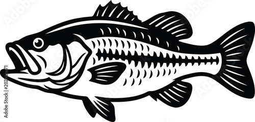 Black and white striped bass fish illustration