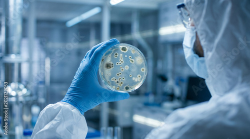 Laboratory scientist holding contaminated petri dish with mold and bacteria growth for microbiology research