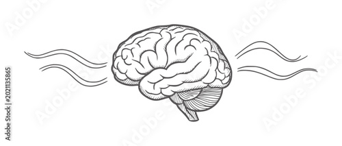 Tableau sur toile Hand drawn of a human brain with wavy lines emanating outwards head mind thought