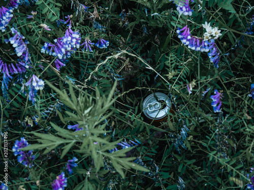 Discarded empty can in wildflower field with littering and environmental pollution concept