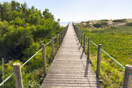 Fotografie Wooden Walkway to Miramar Beach in Gaia Portugal