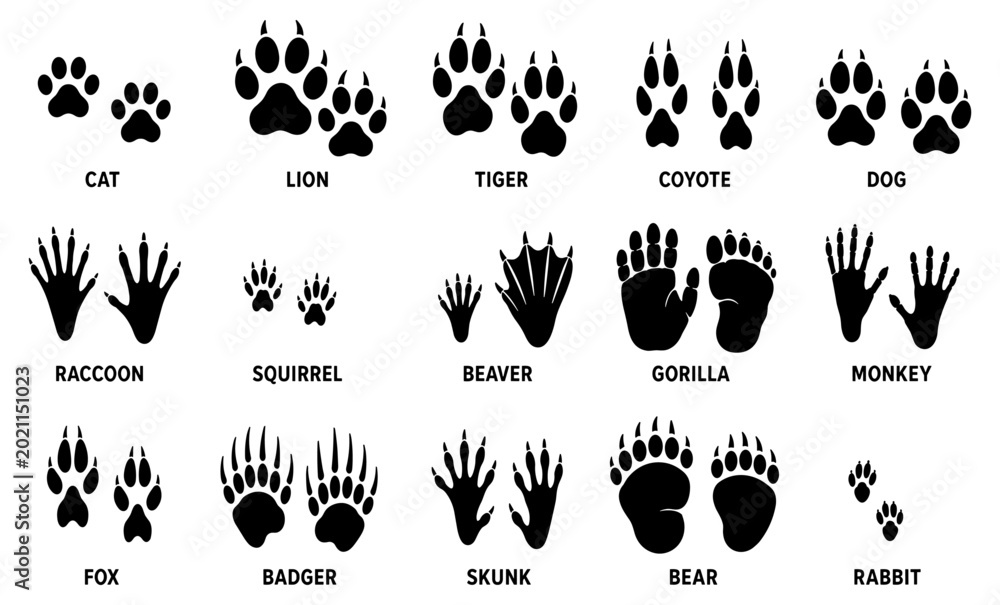 Obraz premium Wild animal tracks and paw print black silhouette collection