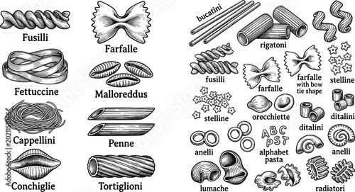 Bild auf Leinwand Hand-Drawn Pasta Vector Set Featuring Fusilli, Farfalle, Fettuccine, Penne, Conc