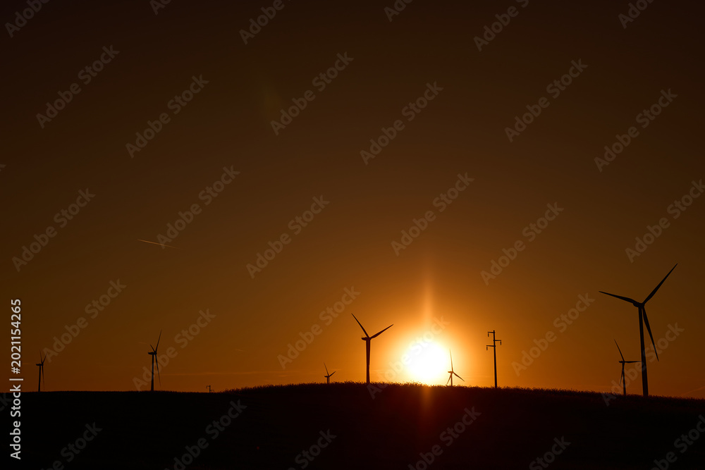 Fototapeta premium Wind turbines at sunset in green field – renewable energy, clean power, sustainable future.