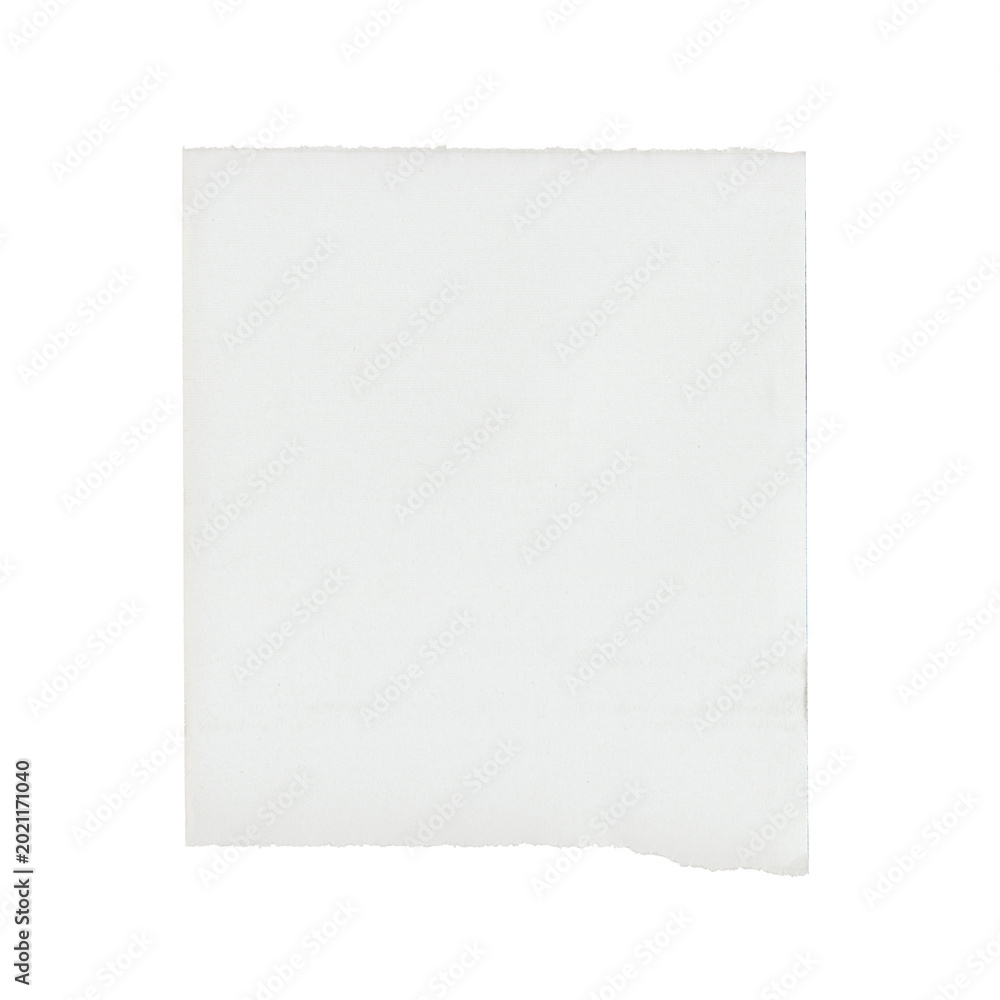 Fototapeta premium Flat Torn Edge Note Paper