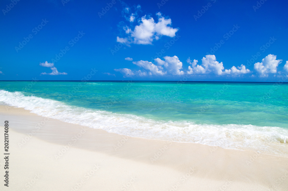 Obraz premium Sea beach. Tropical Maldives island with white sandy beach
