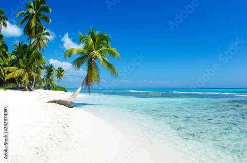 Sea beach. Tropical Maldives island with white sandy beach