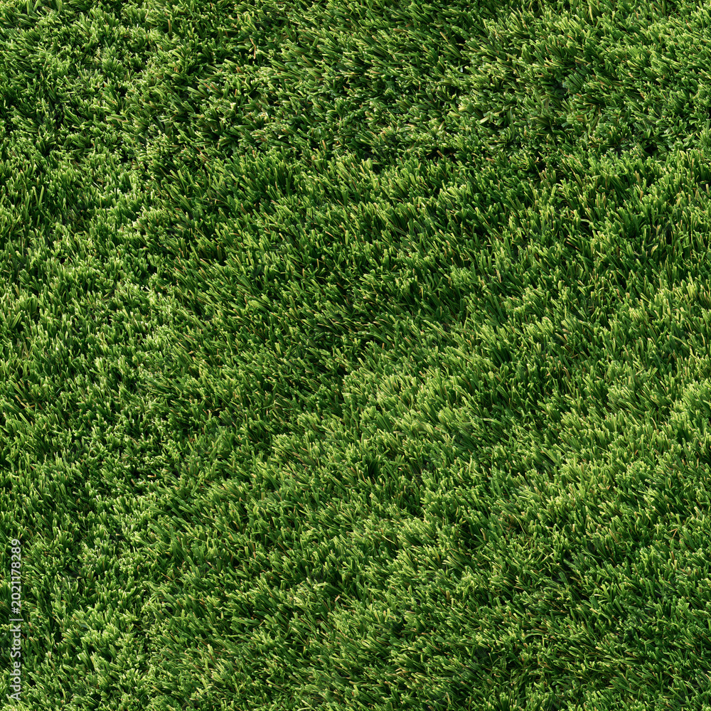 Fototapeta premium Seamless Tileable Lawn Grass Surface Texture Flat 3