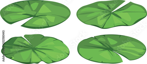 Tableau sur toile Set of Hand-Drawn Lily Pad Leaves, Minimalist Pond Plant Collection for Water Ga