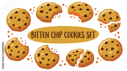 Konstfotografi Set of delicious chocolate chip cookies with various bite marks now