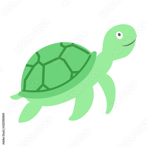 Turtle on a white background. Cartoon design for posters, children's rooms, educational materials or branding