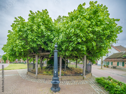 Lindeboom van Nuenen