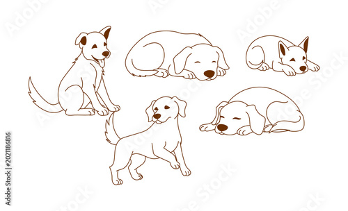 dog illustration with line style