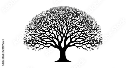 Quadro su tela Abstract bare tree silhouette with intricate branches on a white background
