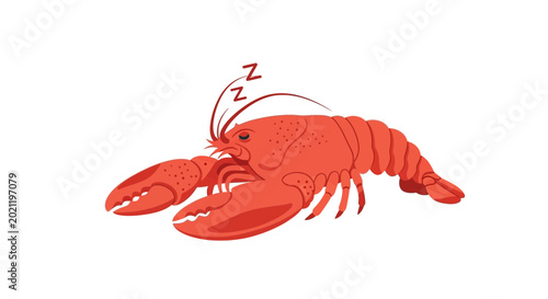 Photos Sleeping red lobster side view.