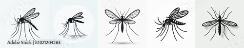 Photos Mosquito Silhouette Vector Illustration