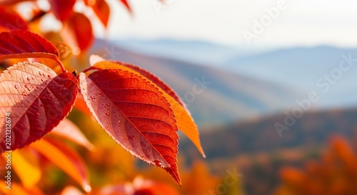Radiant autumn foliage, wet with morning dew, foregrounds a majestic vista of layered mountains cloaked in serene mist and warm light