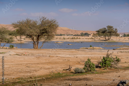 Photos Dry area in Saudi Arabia desert with scarce water source and bush trees