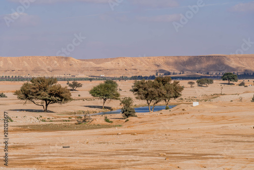 Tableau sur toile Dry area in Saudi Arabia desert with scarce water source and bush trees