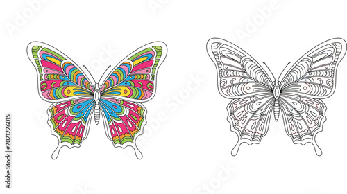 Fotografie Intricate Butterfly Mandala Coloring Page for Adults and Kids, Ornate Butterfly