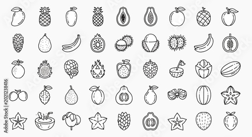 Collection of assorted fresh tropical and common fruits in a linear doodle sketch style, isolated on white background