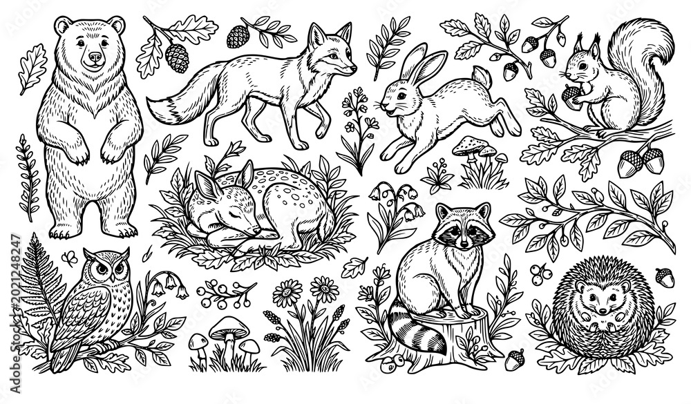 Obraz premium Woodland Forest Animals and Nature Elements Coloring Page Outline Vector Collection