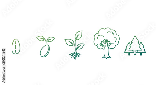 Foto Evolution of Life: A minimalist linear illustration of a seed's journey, from potential to a flourishing forest