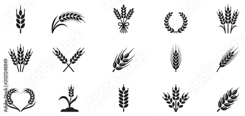 Tableau sur toile Wheat ears icon set