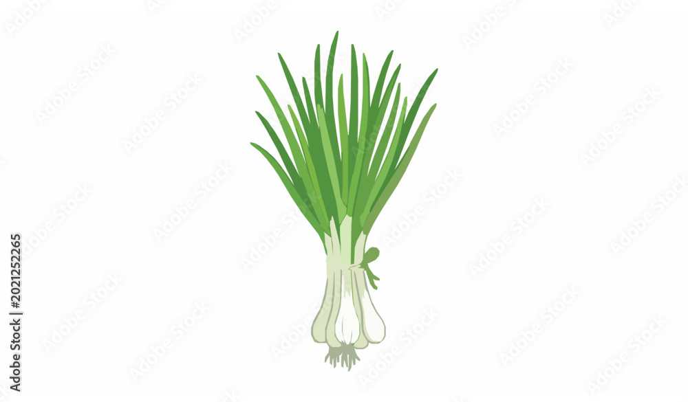 Obraz premium Fresh green onion bunch flat vector illustration isolated on white background for menu poster and organic food label