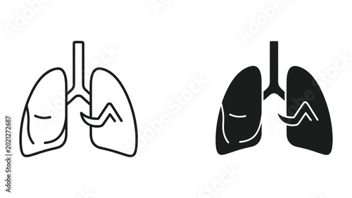 Bild auf Leinwand Black and white illustrations of human lungs with trachea and bronchi, isolated