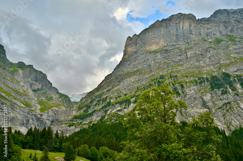 Mountainside in the Grindelwald, Bernese Alps, Switzerland, C.H.