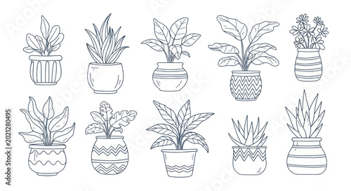 Photos Collection of Hand Drawn Houseplants in Decorative Pots.